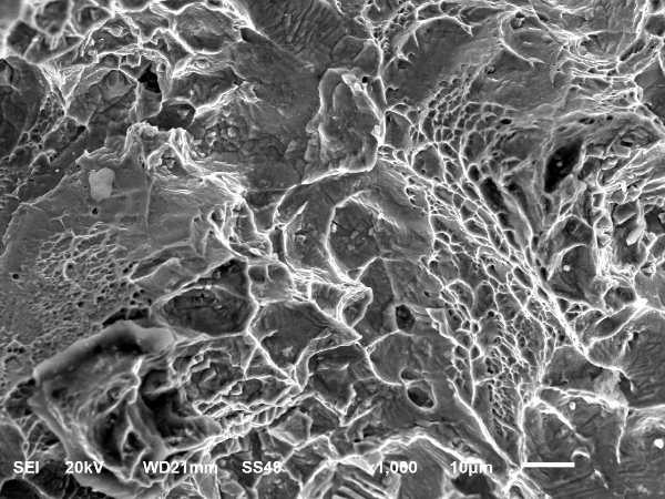 斷口B區(qū)形貌 斷口B區(qū)形貌